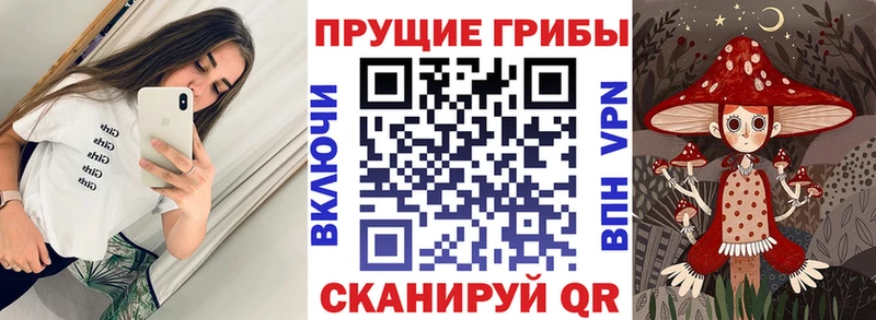 Псилоцибиновые грибы прущие грибы  Касимов 