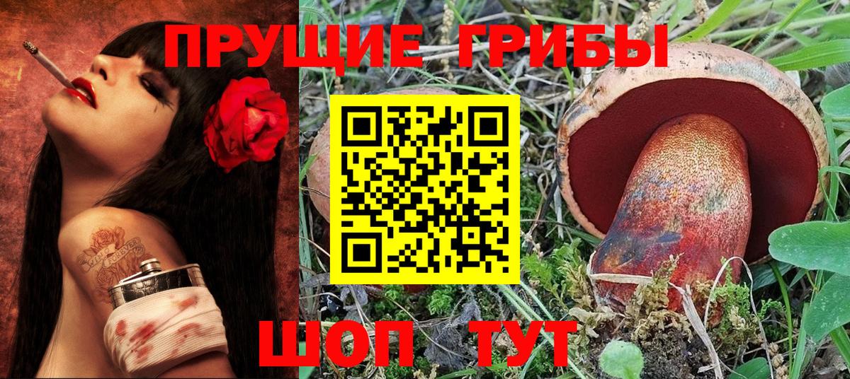 Галлюциногенные грибы прущие грибы Касимов